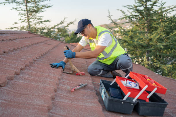 Best Flat Roof Repair Services  in Pleasureville, KY