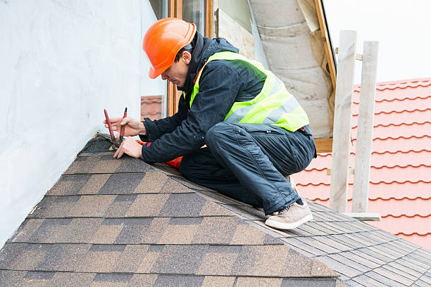 Best Roof Maintenance Services  in Pleasureville, KY