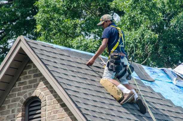 Best Roof Gutter Cleaning  in Pleasureville, KY